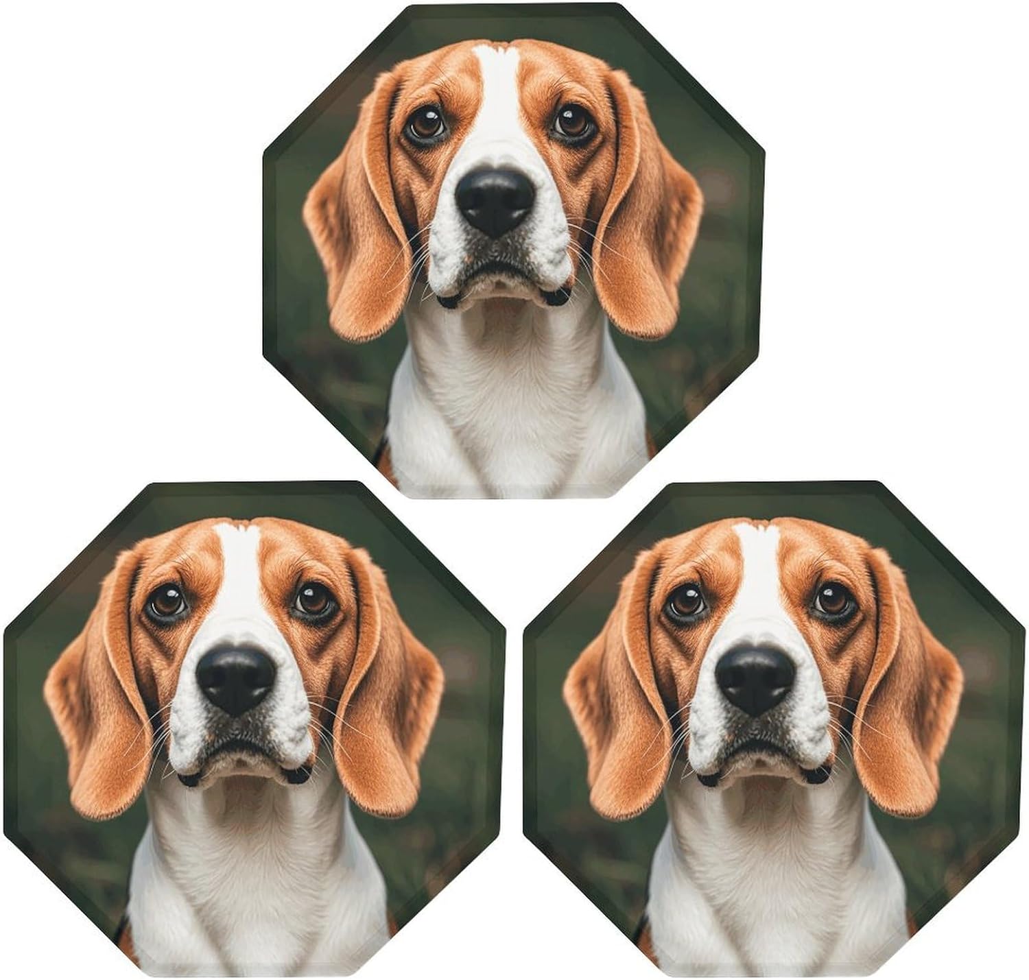Ctagon Metal Sign for Home, Modern Display Plate for Kitchen, Beagle Dog Plates Accent Hanging Wall Decorations 3PCS for Living Room, Bedroom, Hallway, Hotel