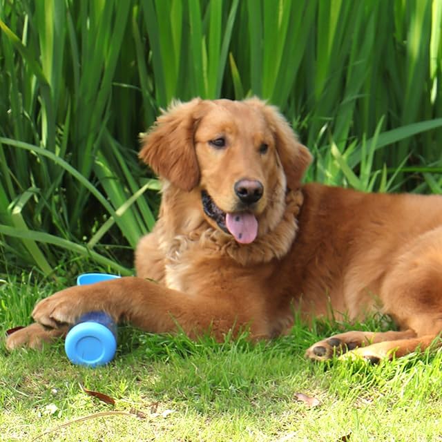 Foto 4 de 8 de YPBEW Botella de agua portátil para perros, capacidad de agua de 11 onzas, cuenco de comida para cachorros