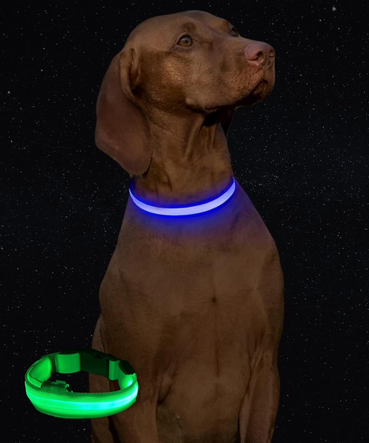 WagglePup Light Up Dog Collar, Flashing and Rechargeable Dog Collar