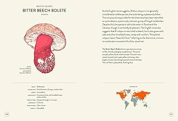 洋書　きのこ図鑑　コリンズ菌類ガイド　COLLINS FUNGI GUIDE 洋書 きのこ図鑑 コリンズ菌類ガイド COLLINS FUNGI GUIDE
