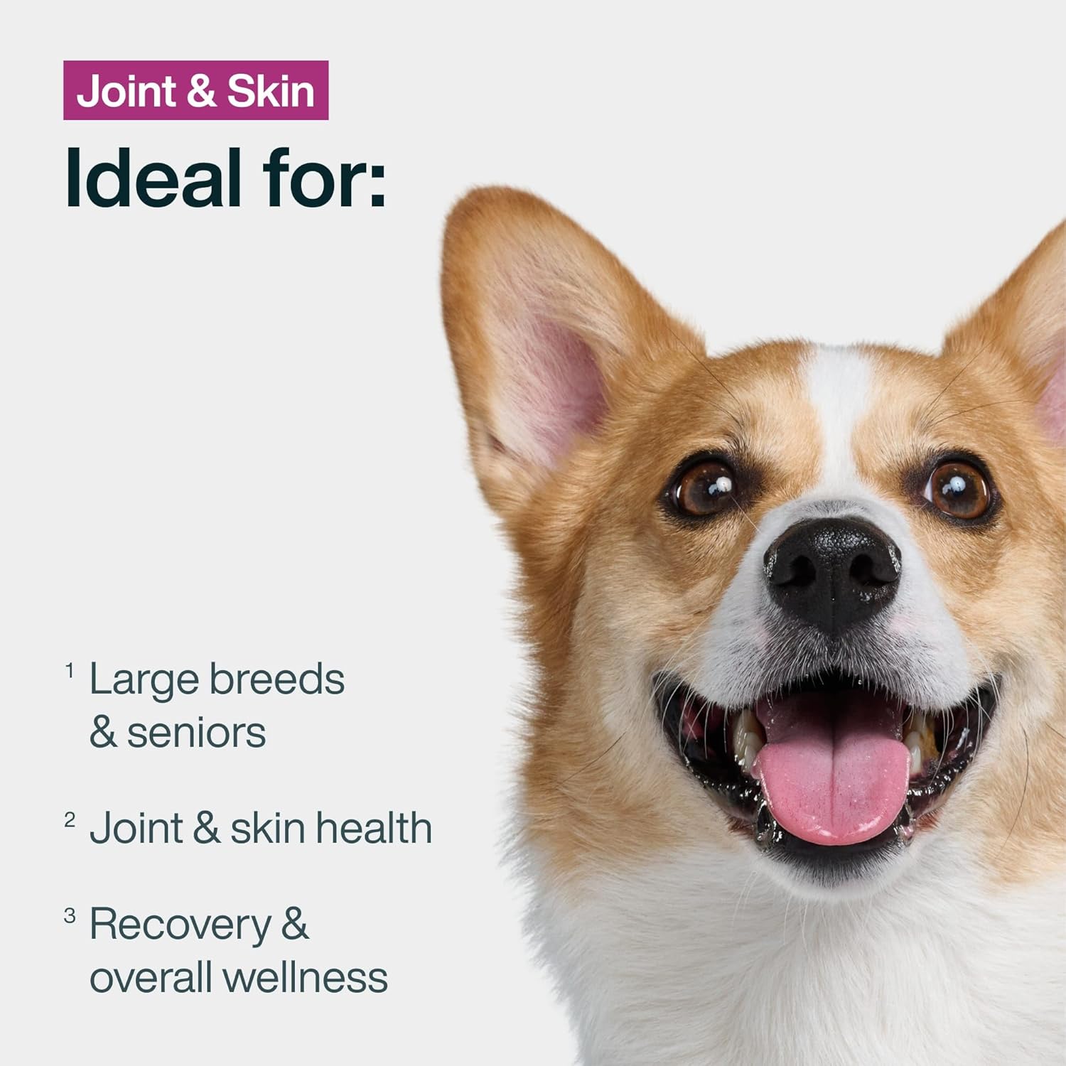 JustFoodForDogs Frozen Wet Dog Food for Joint Health and Sensitive Skin, Human Grade Fresh Pet Meal or Topper, Skin and Joint Support for Dogs, Glucosamine, Omega Oil, Dog Allergy (72oz, 7 Pack)