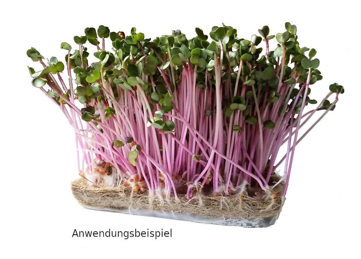 10 stuks hennepvezel kweekpads voor kiemen en microgreens, natuurlijk