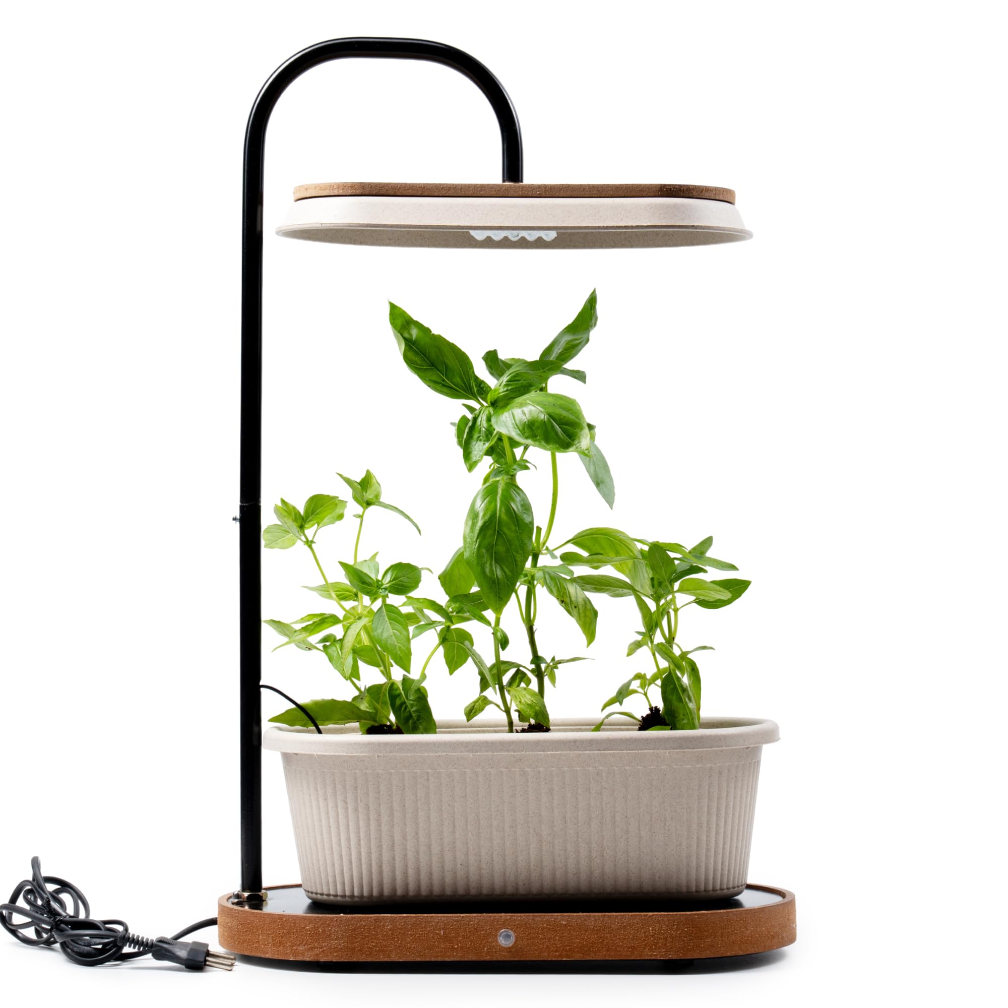 AGRISAGE Smart Indoor Hydroponic System for Home with LED Grow Light | Mini Indoor Hydroponic Planter Smart Garden | Indoor Grow Kit | App Controlled | Grow Fresh Herbs & Greens at Home | Starter Kit