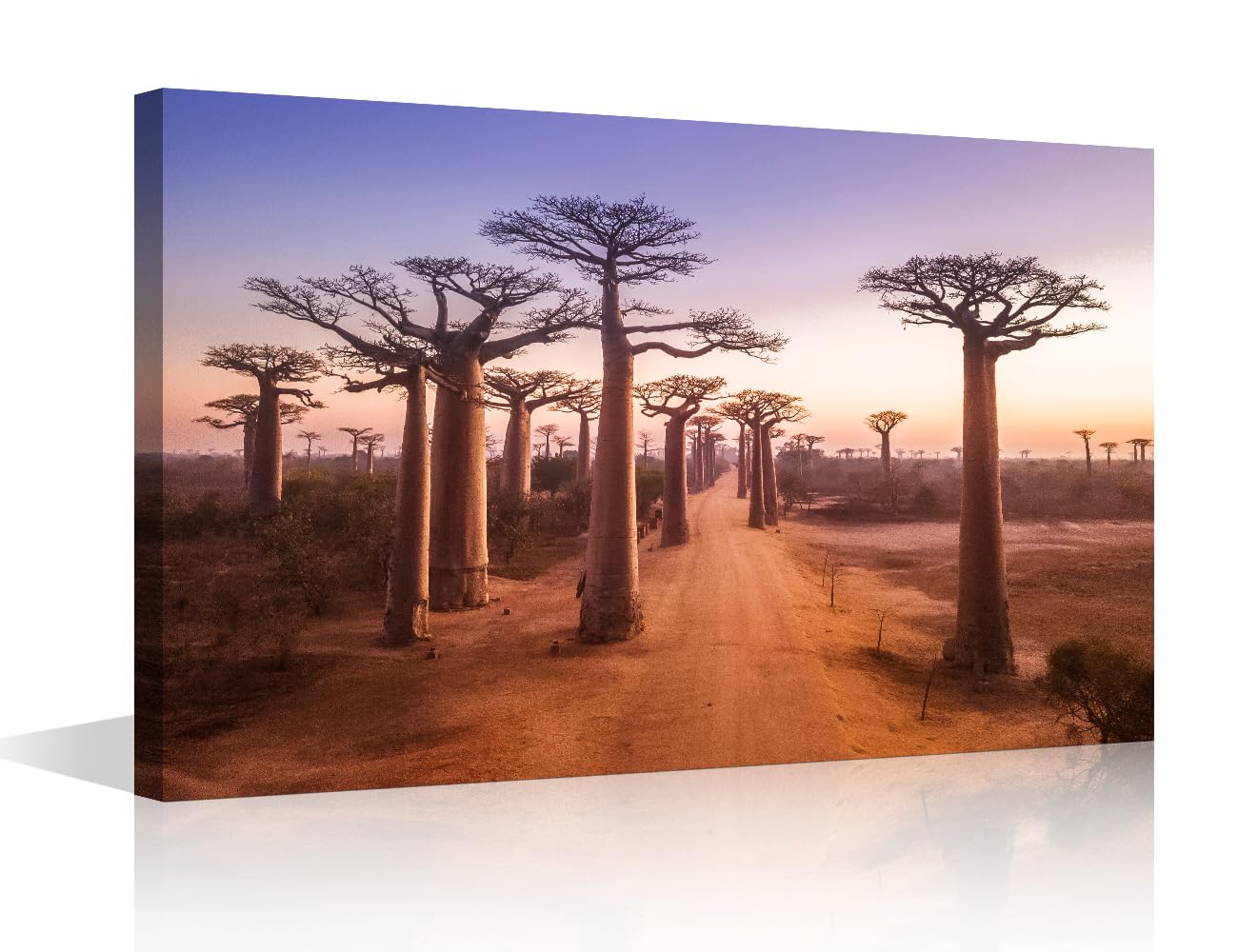 TISHIRON Canvas Wall Art for Bedroom Baobab Trees at Sunset Wall Paintings for Living Room Natural Landscape Office Modern Wall Art Pictures Print On Canvas Giclee Framed Ready to Hang