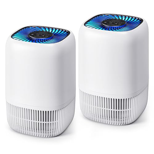 VOOPNU DH-JH12 2-Pack Desktop Air Purifier