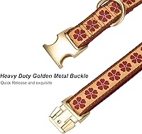 Vista 100 de Collar de Algodón Suave para Perro con Hebilla de Metal Ajustable de Servicio Pesado Cómodo Collares de Pana para Perros Pequeños, Medianos