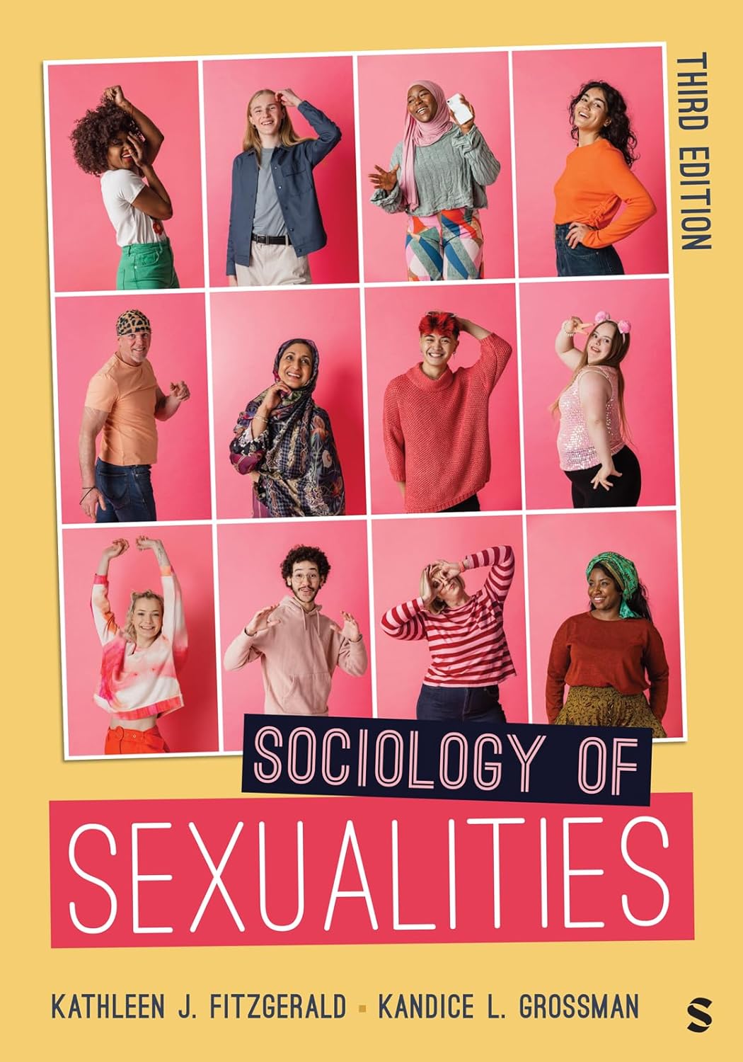 Sociology of Sexualities      3rd Edition, Kindle Edition