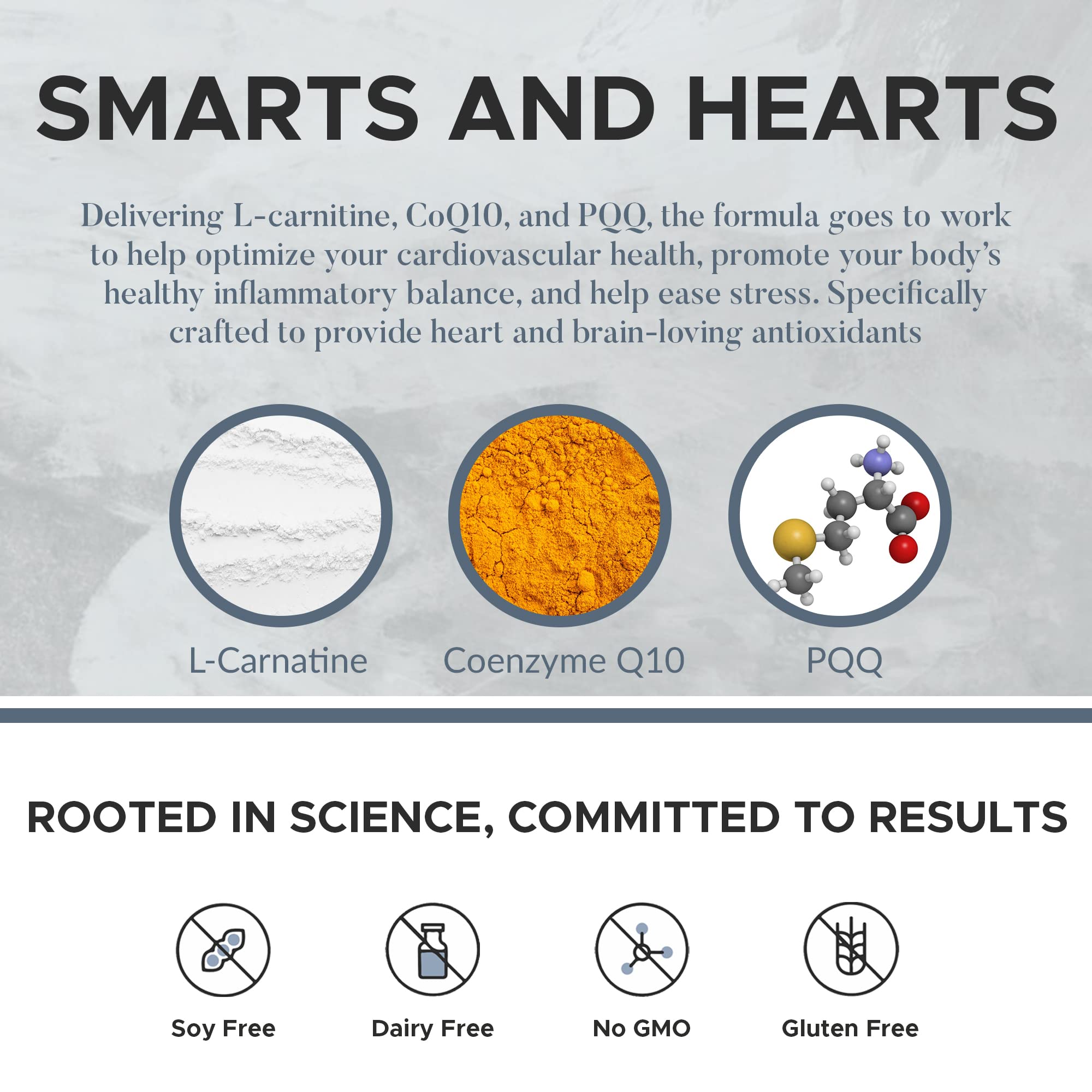 carnipure vs acetyl l carnitine Carnitine vs Acetyl Carnitine: What Quality Differences Do They Have?