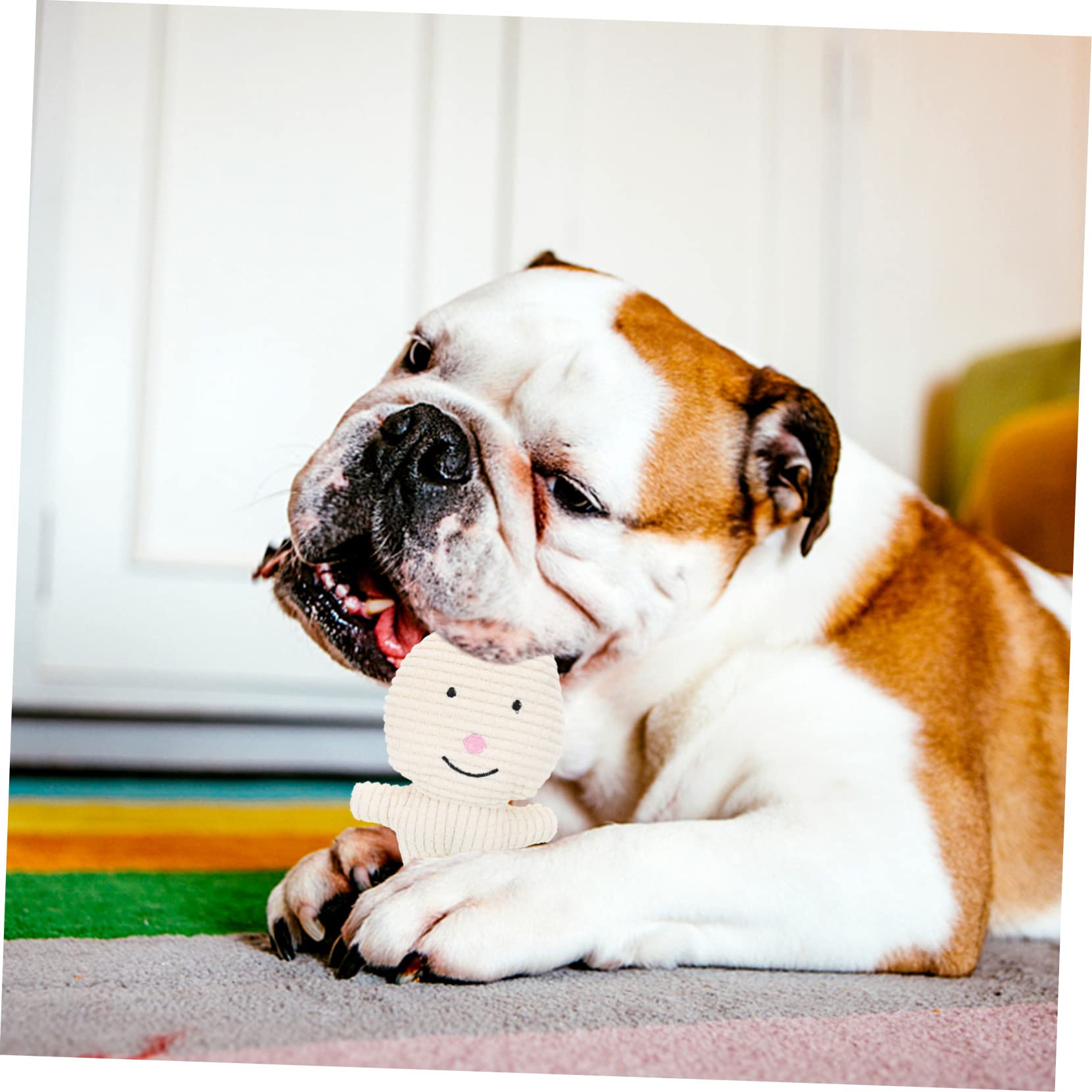 Toddmomy 5piezas Juguete De Peluche para Perros Squeaker Juguete Interactivo para Mascotas para Masticar Duradero para Cachorros y Perros Pequeños