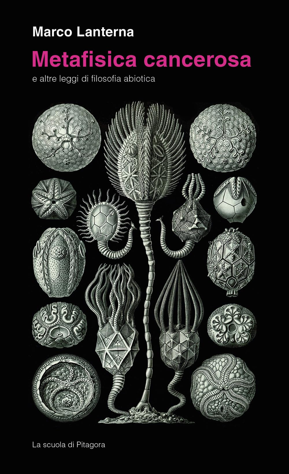 Metafisica Cancerosa E Altre Leggi Di Filosofia Abiotica - 4