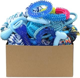 Beiker 20 Pack Blue Puppy Chew Toys for Teething - Rubber Rings, Ropes, Balls & More for Small Dogs