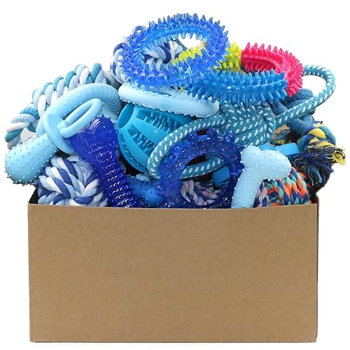 Beiker 20 Pack Puppy Chew Toys - Blue Dog Teething