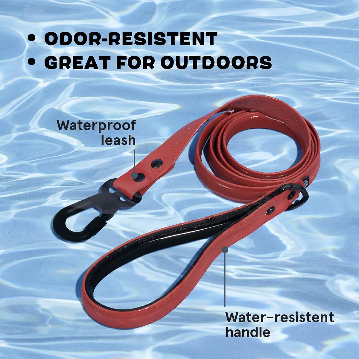 Barkbox Dog Leash (Medium (3/4in. x 5ft.), Red)
