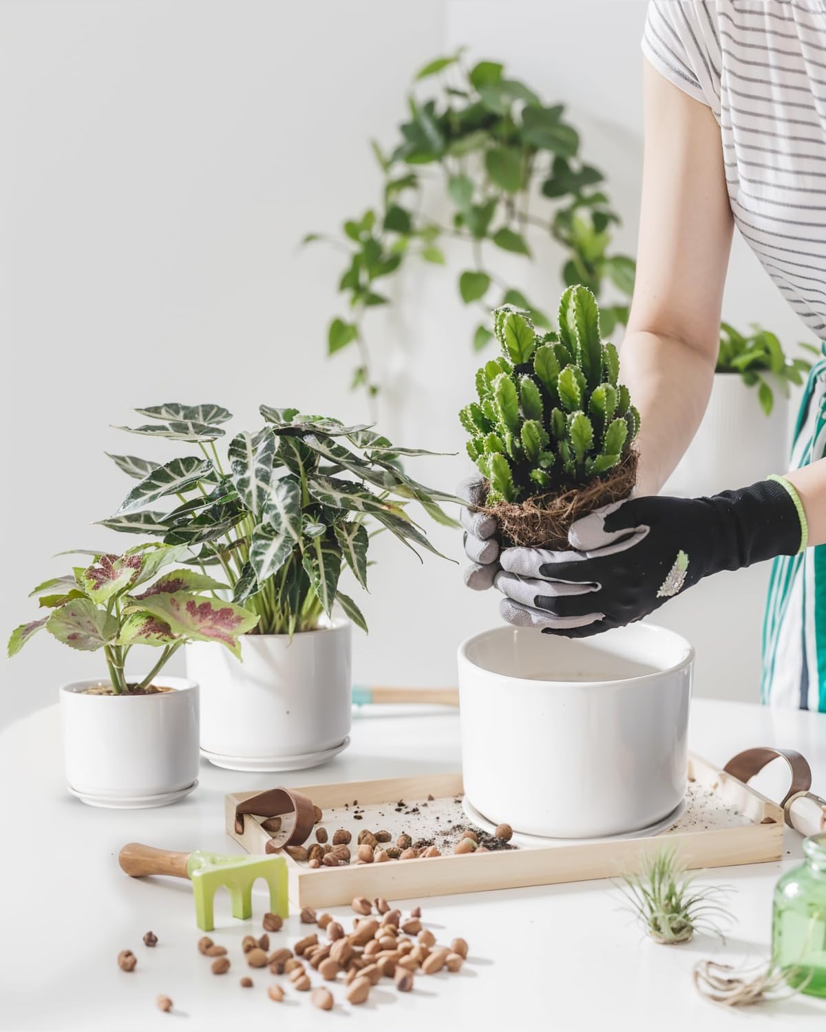 EFISPSS Plant Pots, 4+5+6 Inch Pots for Indoor Plants, Ceramic Planter Pot with Drainage Hole, Flower Pots for Succulent Cactus, Set of 3 - White - Image 6