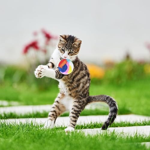Miniatura 6 de Nicunom 60 bolas de pompón para gatos, bolas de juguete arcoíris de 1.7 pulgadas, bola de felpa suave para gatos, bolas coloridas para gatitos,