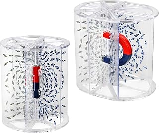 Permanent Magnet Electromagnetic Field Kit - Explore Magnetic Direction & Induction Formation at Each Point