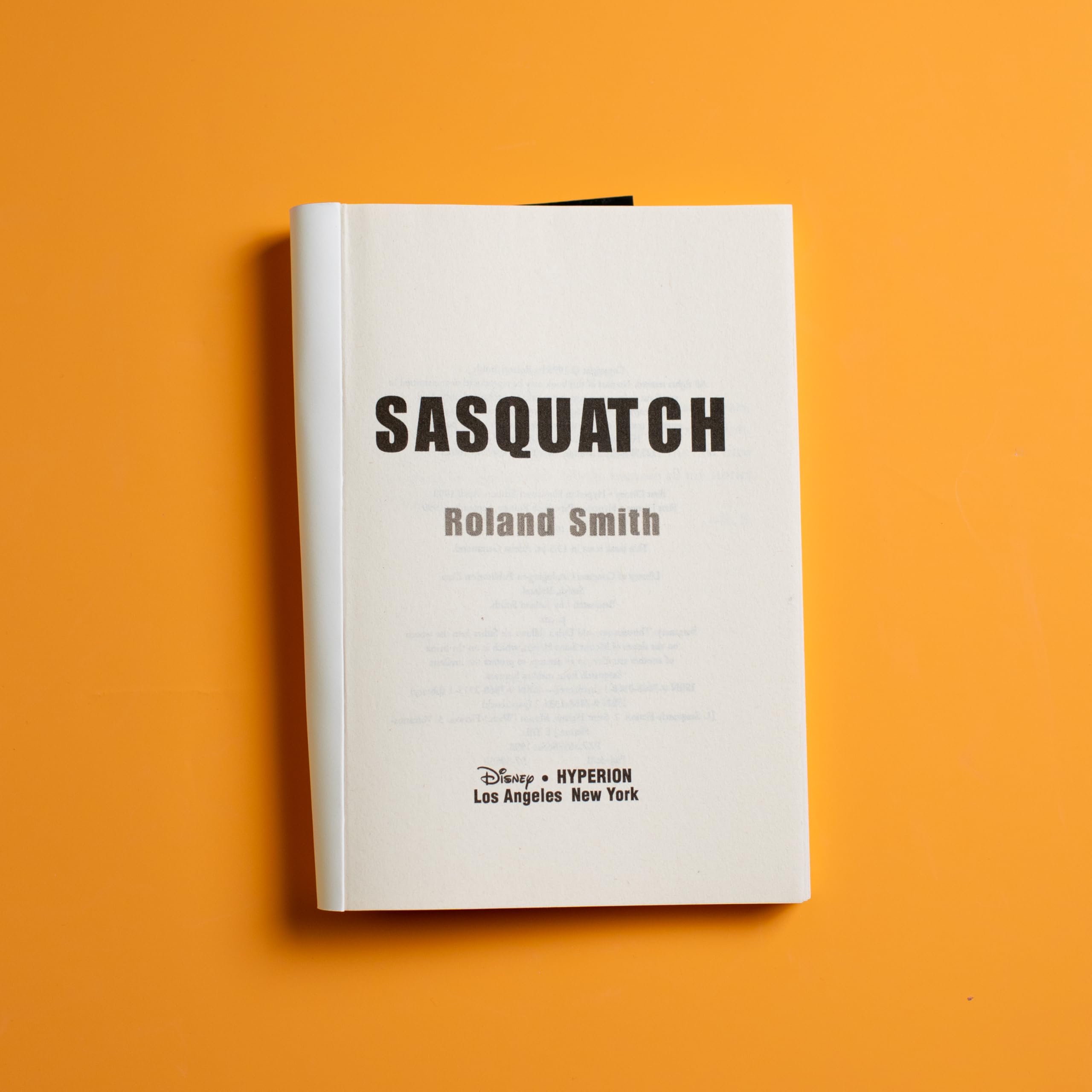 Sasquatch - Image 3