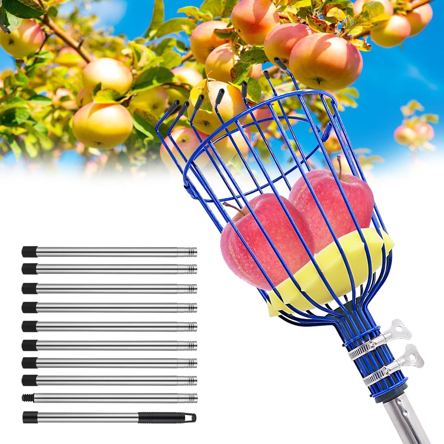 Fruit Picker Tool with Basket & Foam Pad, 35-157 Inch Adjustable Stainless Steel Picking Pole - for Harvesting Lemon Avocado Apple Mango Pear Orange & Tall Tree Fruits