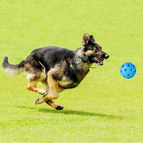 Miniatura 7 de Coopay 1836 Pack Baseball Practice Baseballs Plastic Hollow Soft Balls for Hitting, Baseball Training Indoor Outdoor Use