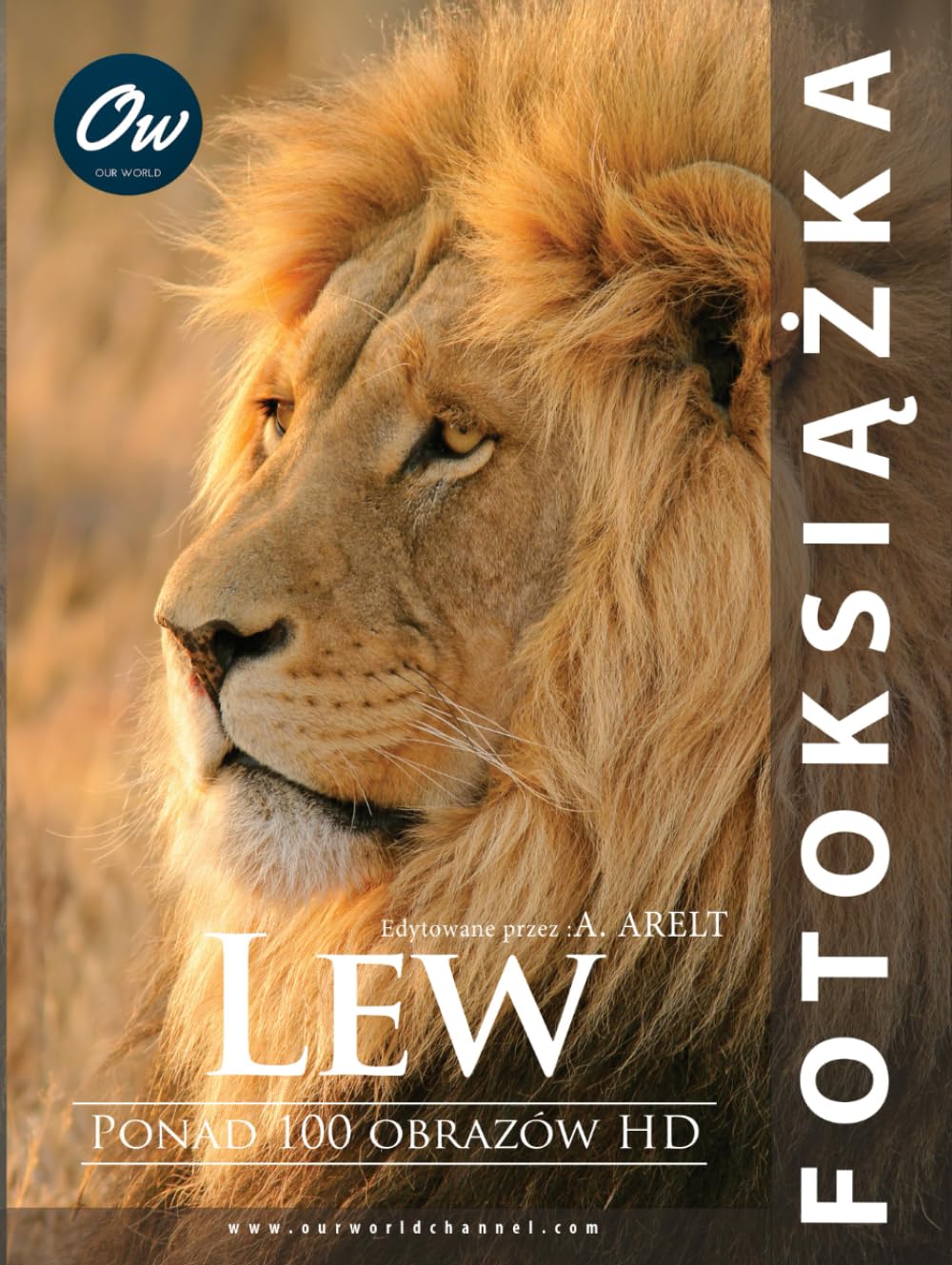 Fotoksiążka Lew livre photo souvenirs de famille et voyages