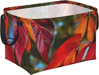 Storage Basket For Shelves Storage Bins With Handles Stylish Gift Basket | Fall Red Leaves And Fruits Shelf Basket Foldable Storage Cubes Kids Baskets For Bedroom Laundry Room Home Decor
