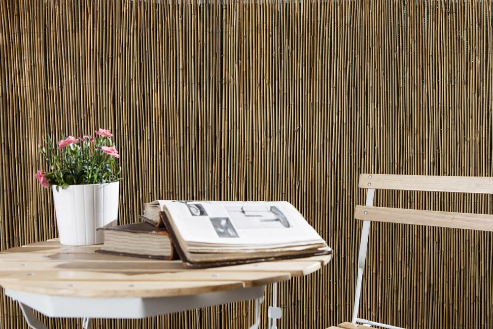 VERDELOOK Arella Time in cannette di Bamboo 2x3 m, bambù recinzioni Decorazioni