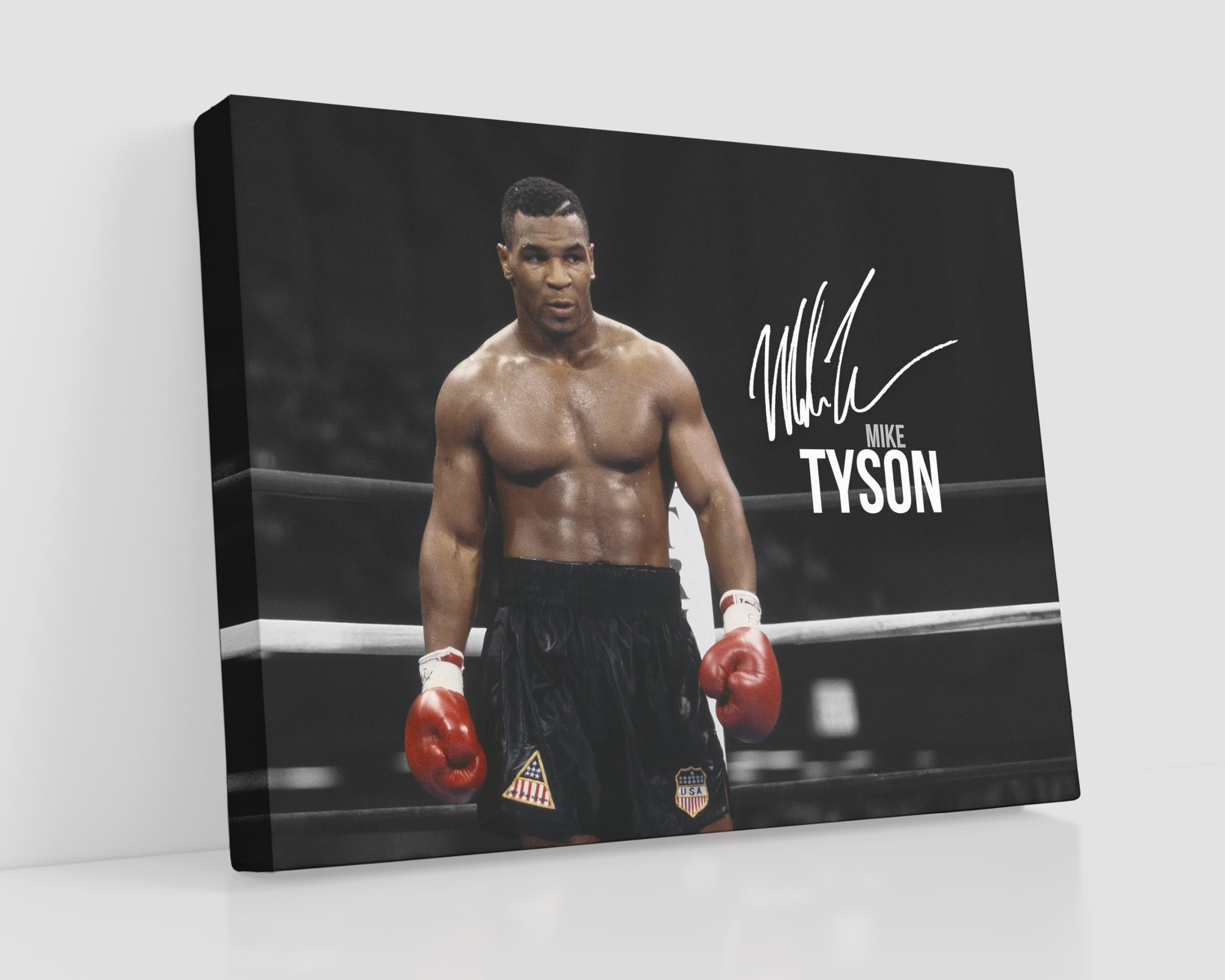 HWC Trading Stampa su tela autografata di Mike Tyson, 40,6 x 30,5 cm, per fan dei boxer, solo tela