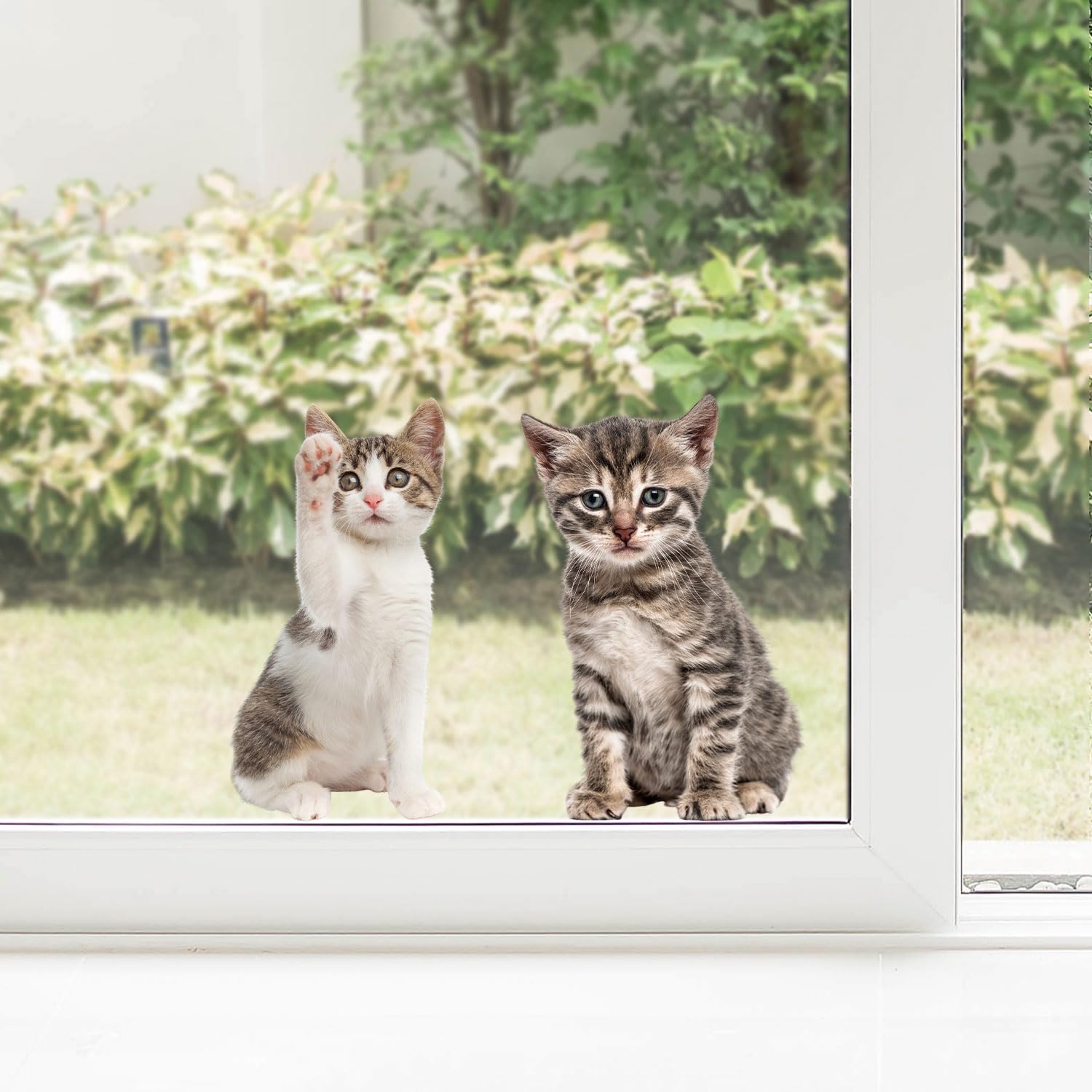 Kit Image De Fenêtre Bébé Chat I Curiosité I Réaliste Grand I Imprimé Des Deux Côtés I Autocollant Pour Fenêtre I Adhésif Statique I Protection Des Oiseaux I Autocollant Repositionnable I Dv950