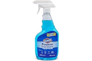 All Purpose Cleaner Spray for Windows and Glass by Clorox
