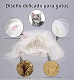 Ver la foto 3