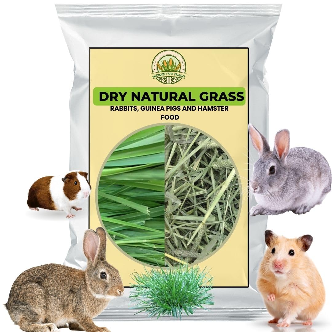 150 GRAM |Dry Grass PET Food | Sun Dried Hay for Rabbit, Hamsters, Lactating Guinea Pigs and White Mice | Suitable for All Life Stages (B0D91S9YKP) Amazon Price History, Amazon Price Tracker
