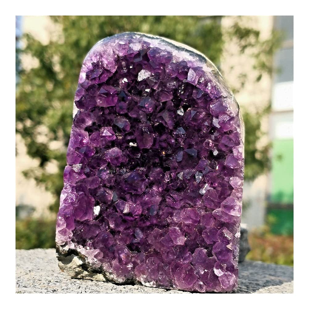 FUERLI Espécimen de Cristal de racimo de Cuarzo de geoda de Amatista Natural de artesanías de Piedra FZUGEDRLI (Size : 300g)