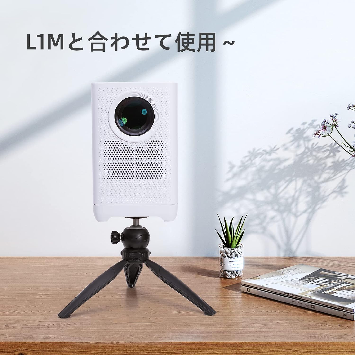 Tripod supporting WITSEER L1M projector