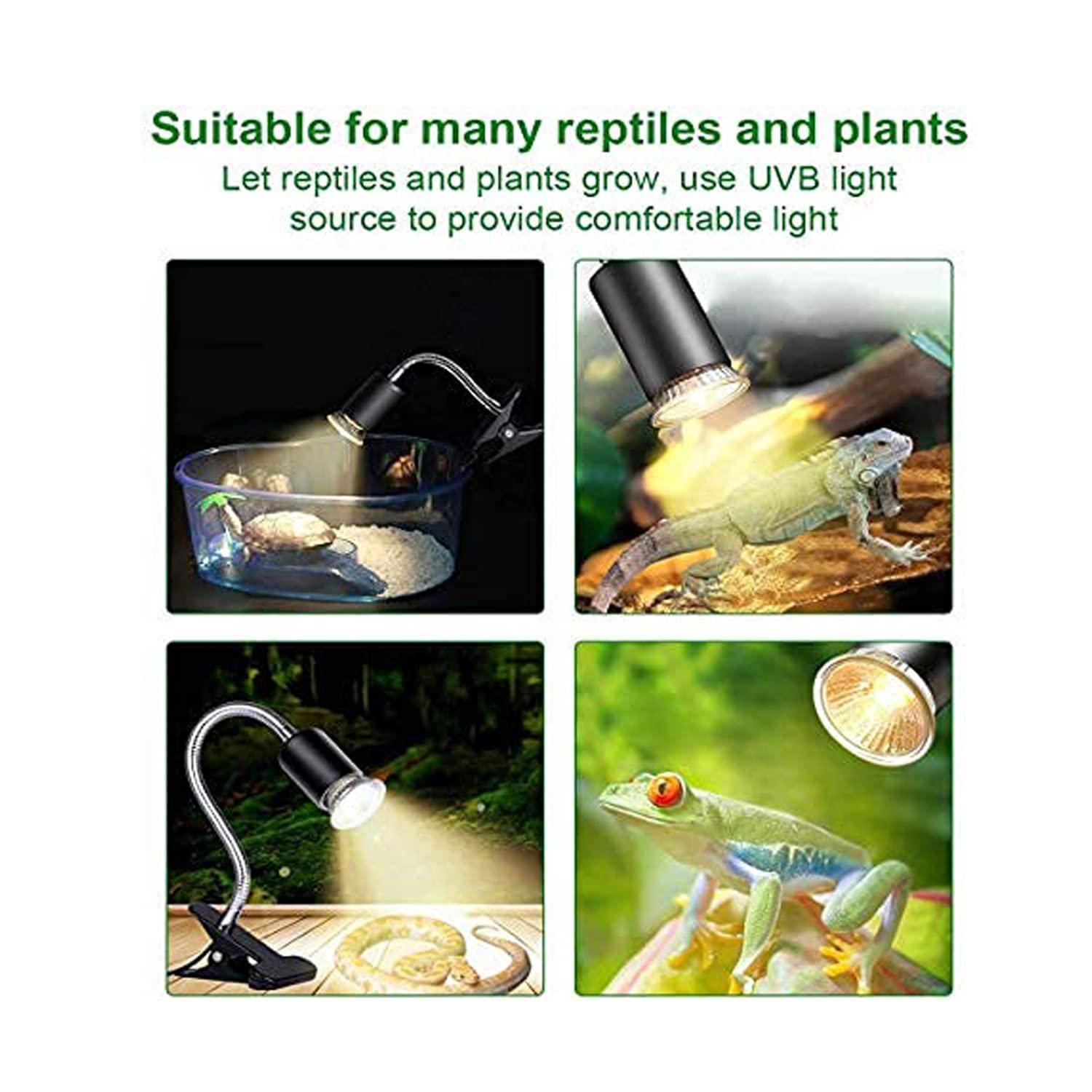 (india pet shop) Reptile UV Basking Lamp Holder With Heating Bulb for Amphibian, Turtle, Bird Lizard and Snake (Holder + 50 Watt Bulb) 2