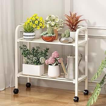 黒檀のあしつき花台です Amazon.co.jp: MJKQ9 プランタースタンド プランターラック プランター