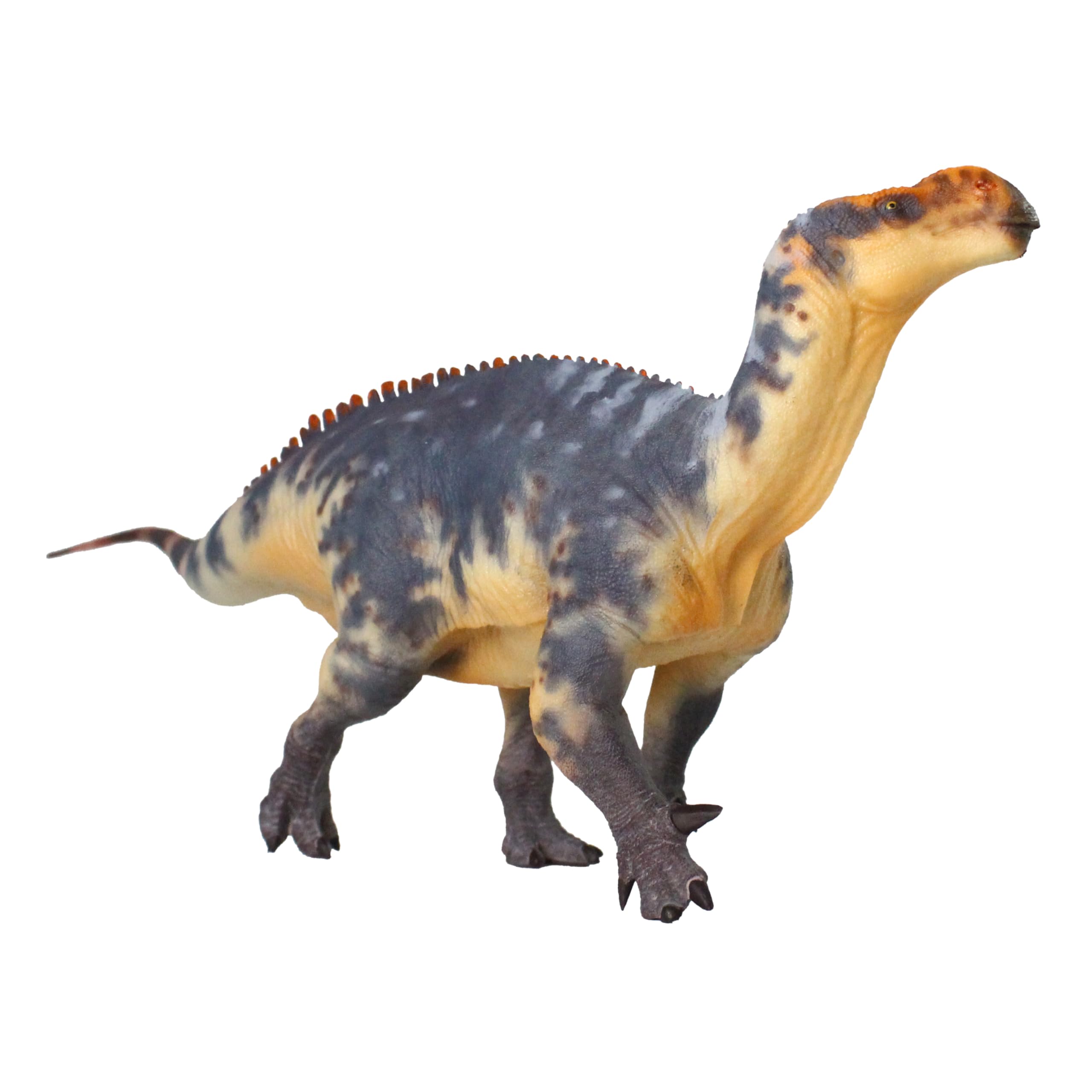 Iguanodon 1:35 Science and Art Model (Zheng Tian Shou)