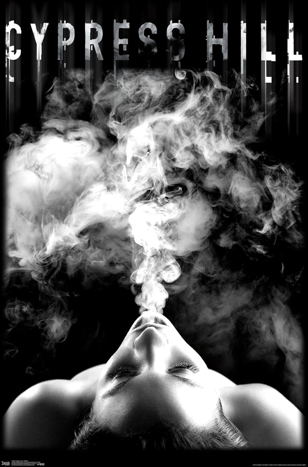 Trends International Cypress Hill - Smoke Wall Poster, 22.375" x 34", Premium Unframed Version