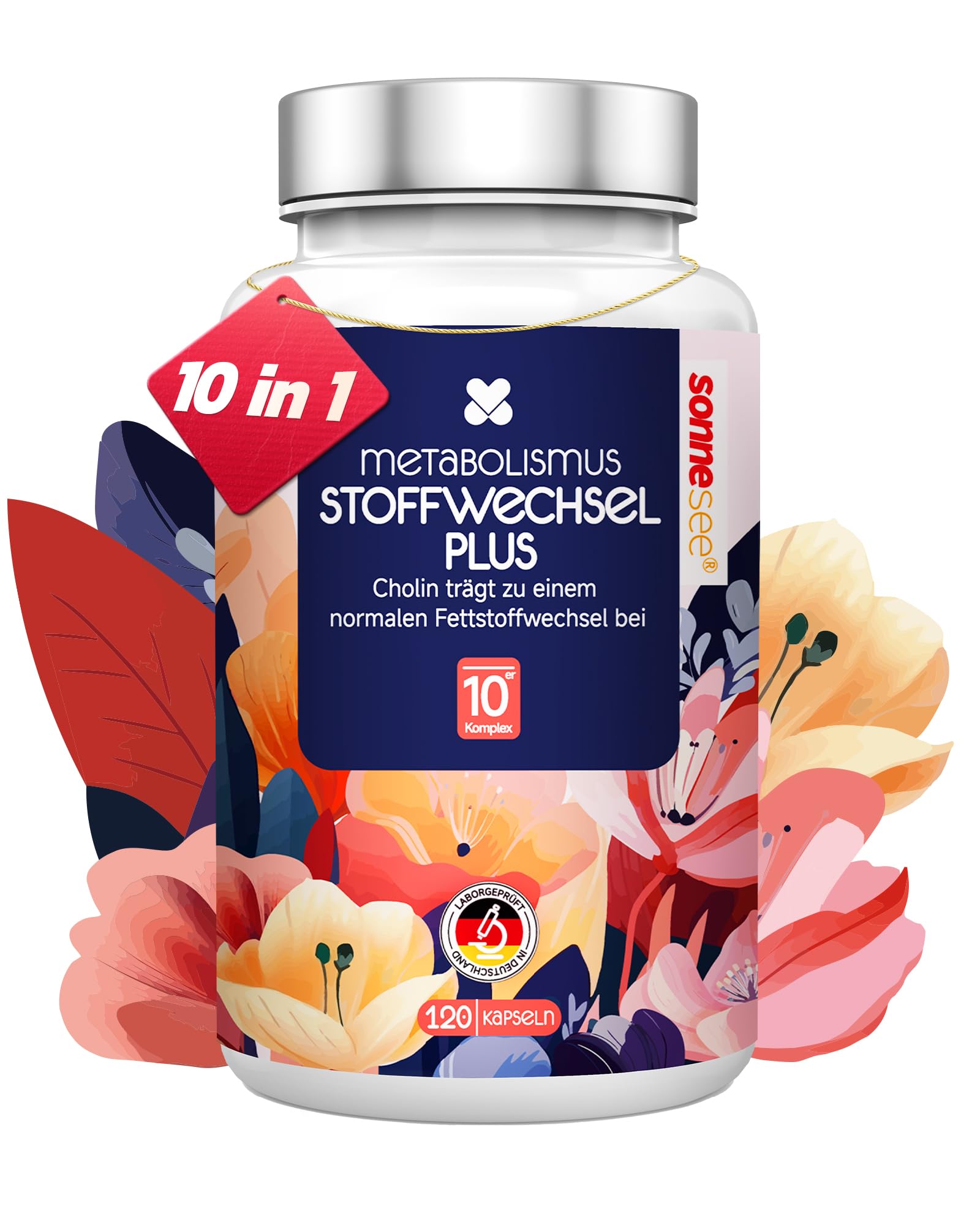 l carnitin stoffwechsel 10-in-1 Komplex Hochdosiert mit L-Carnitin Grünem Tee Cholin wilder indischer Spargel Bittermelone Garcinia Cambogia & Chrom Apfelessig Kapseln Drogerie & Körperpflege Raab Vitalfood L-Carnitin mit Cholin