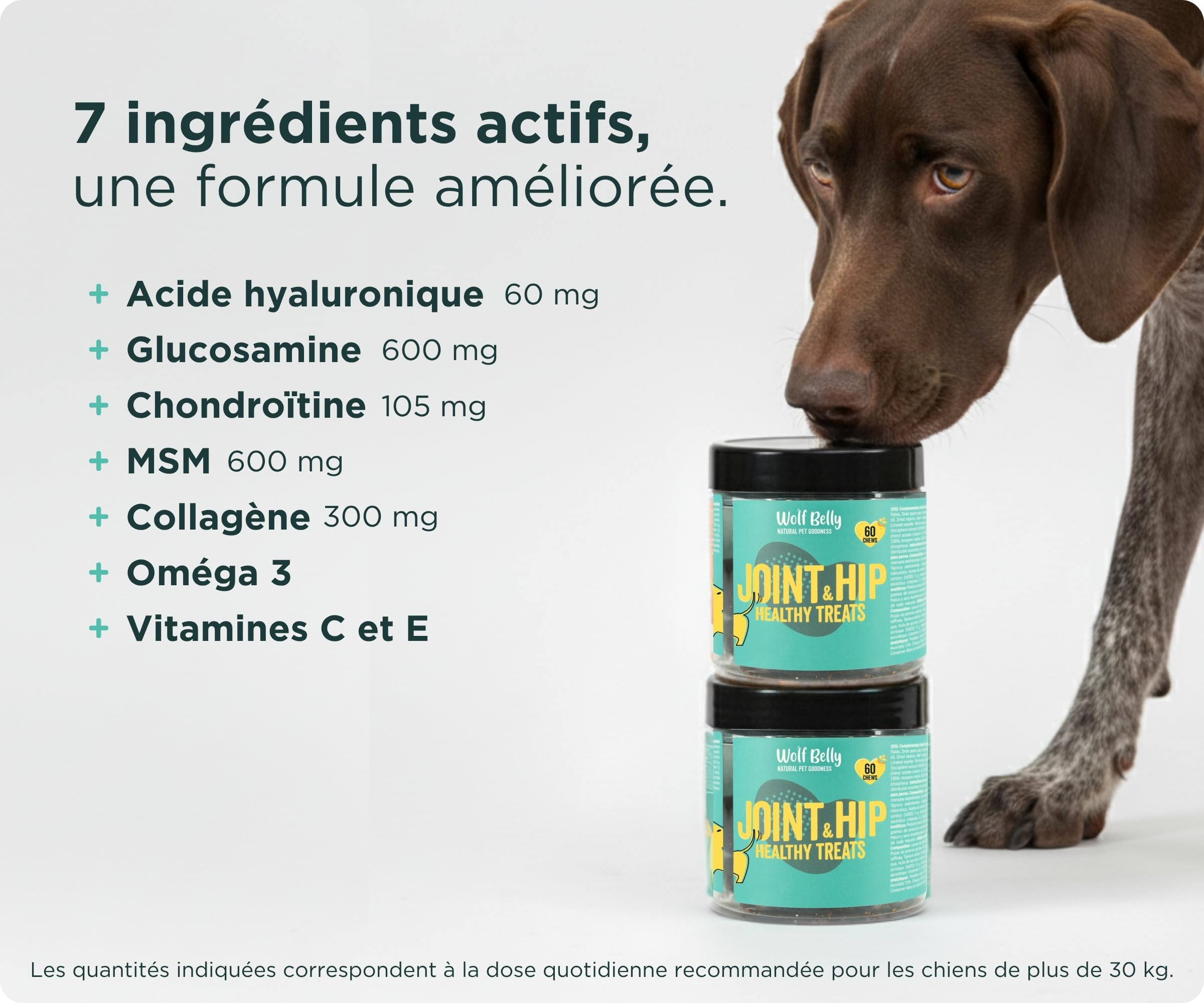 Wolf Belly - Pack Chondroprotecteur pour Chiens | Complément Articulaire en Poudre + Friandises à l’Acide Hyaluronique | Articulations Fortes | Anti-inflammatoire - Fabriqué en Europe