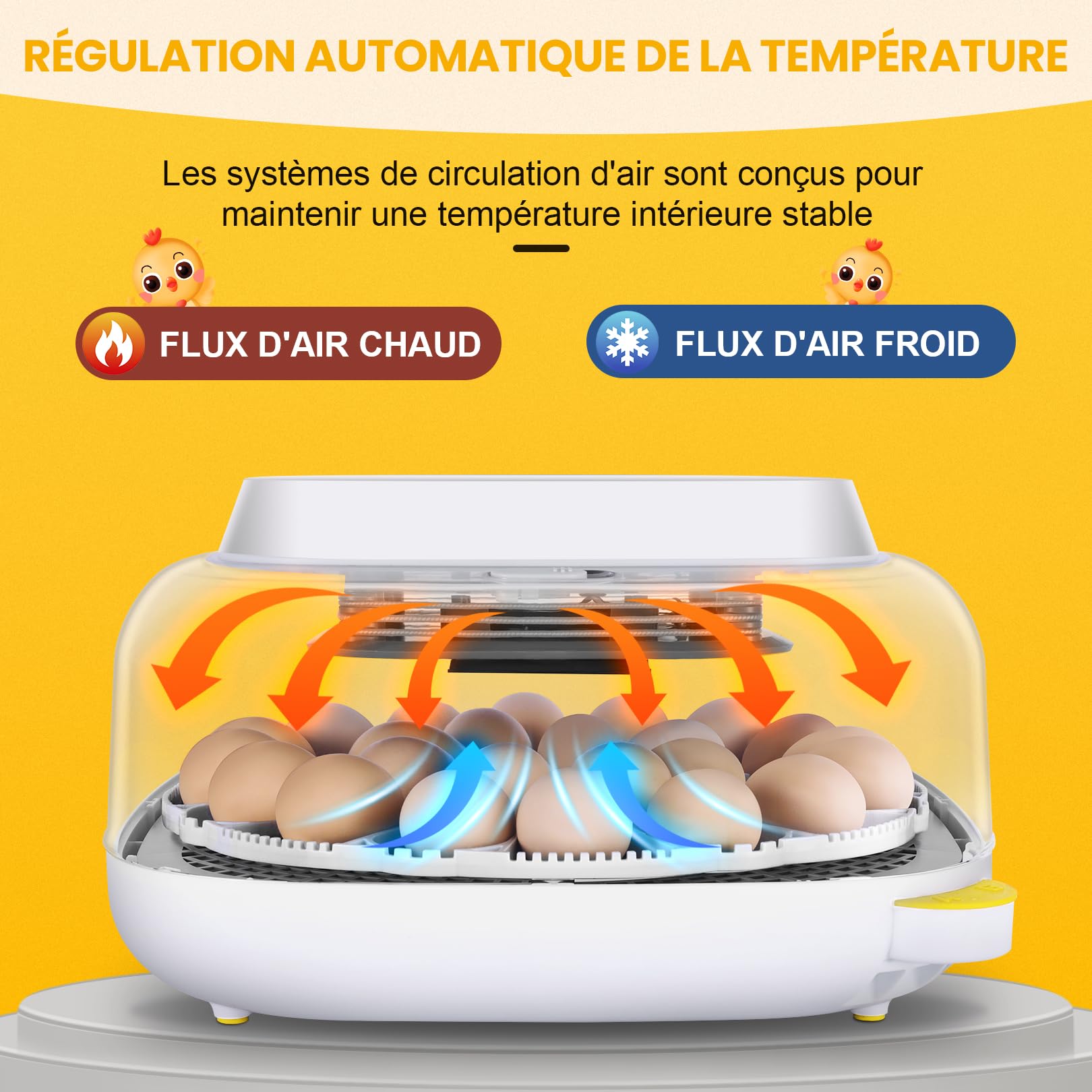 Sailnovo Couveuse Oeuf Automatique - 24 œufs - Incubateur pour œufs de poule avec 4 modes - Vue à 360° - Incubateur à œufs avec retournement automatique et contrôle de la température(Gris)