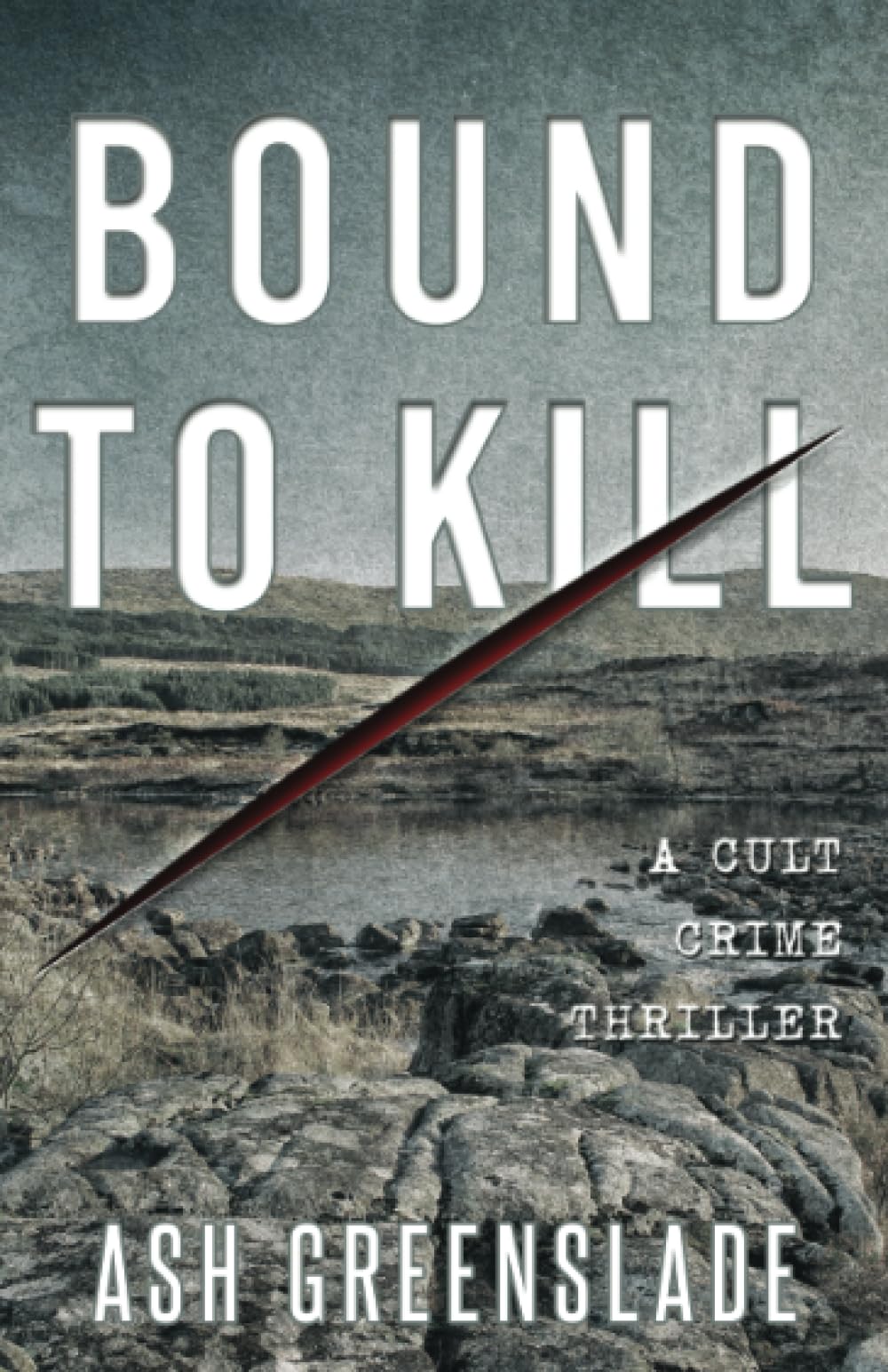 BOUND TO KILL: A cult crime thriller