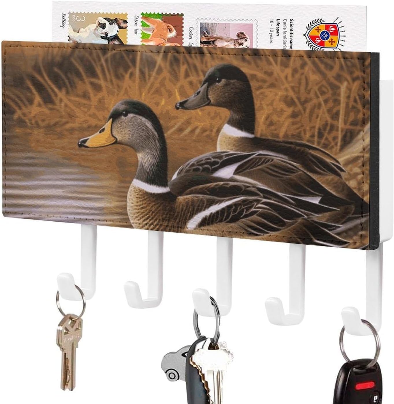 Key Holder Mallard Ducks Wall Mounted Key Rack with 5 Hooks Mail Organizer Wall Mount Hanging Key Hook Home Decor for Office Entryway Kitchen