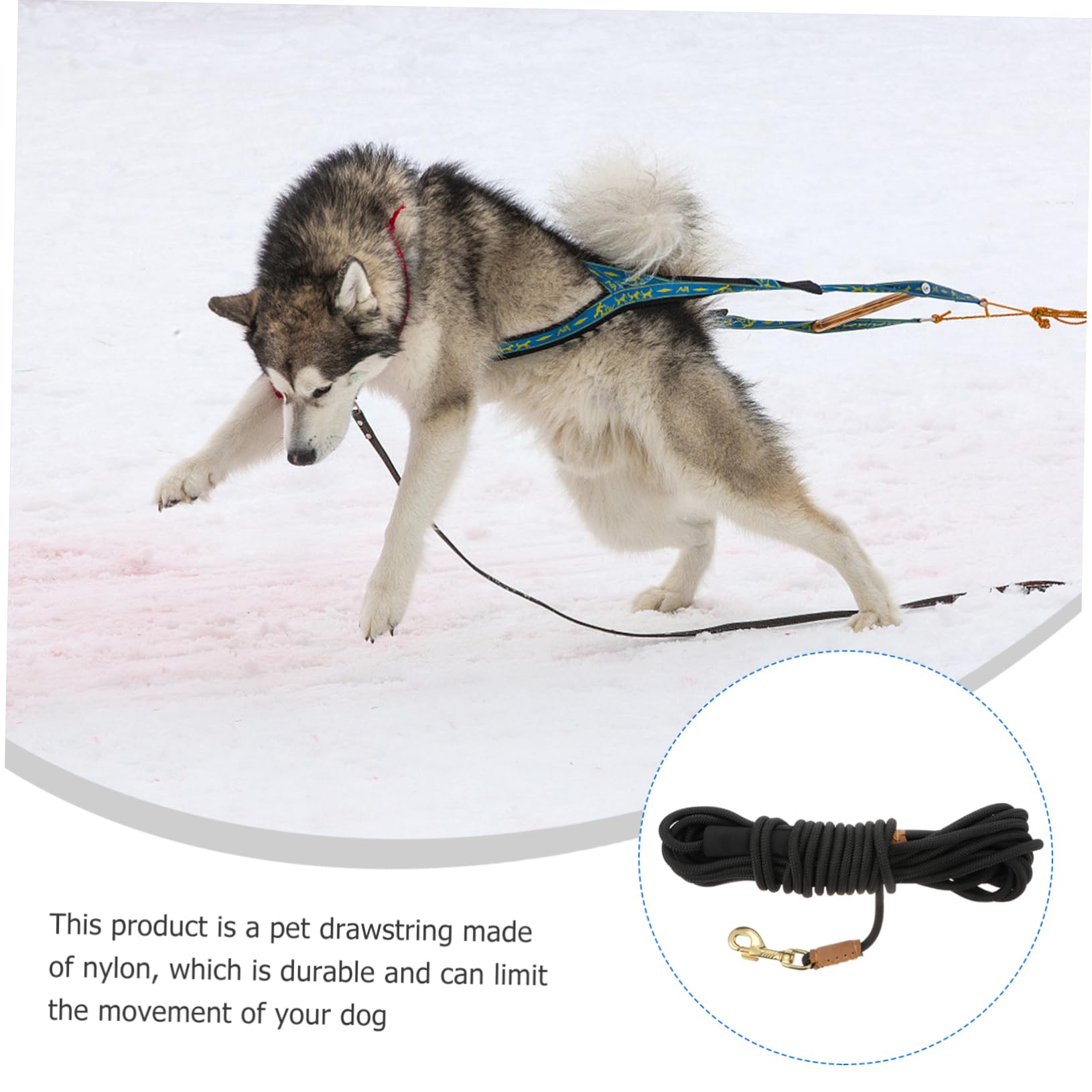BESTonZON Laisse De Traction pour Chien Mètres Laisse pour Entraînement Et Activités Extérieures Convient Aux Chiens De Moyenne à