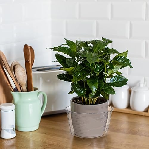 Miniatura 5 de Tebery Paquete de 50 platillos de plástico transparente para macetas, platillos de 6 pulgadas de profundidad, bandeja de riego para plantas en