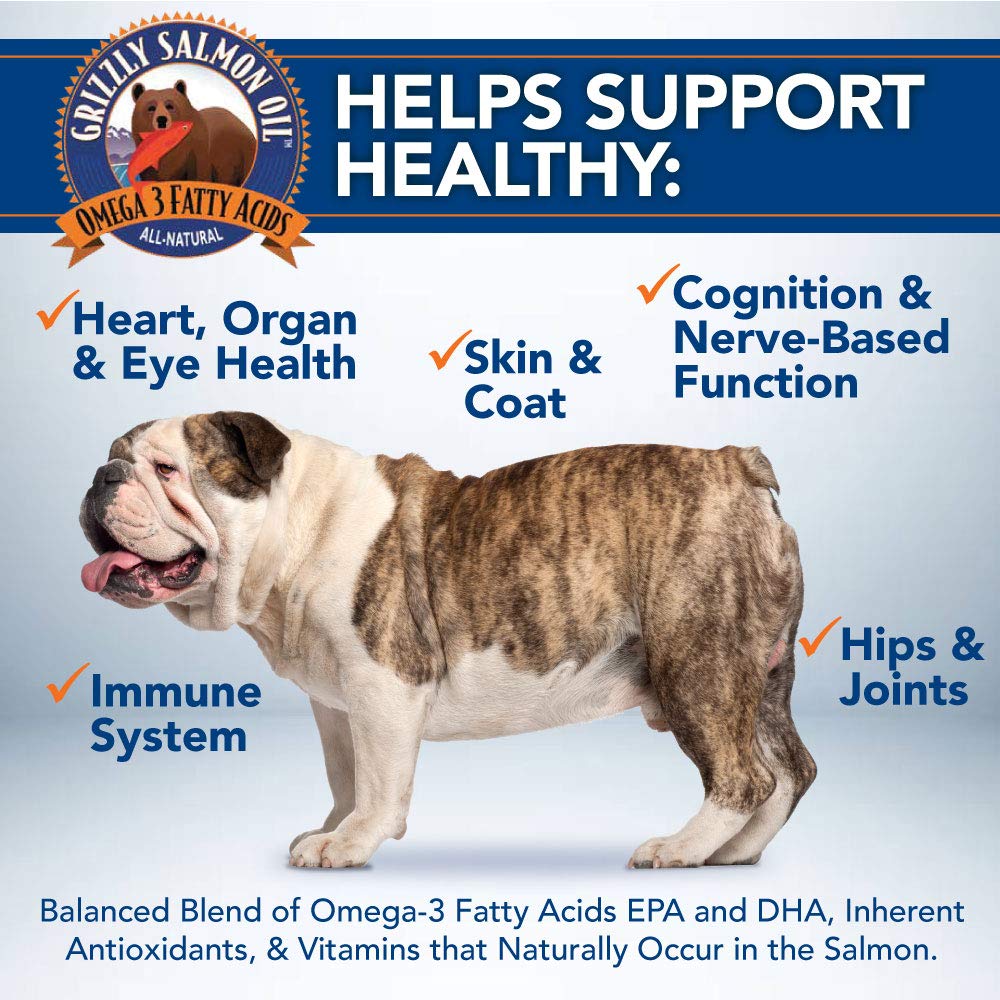 fatty acid therapy for dogs