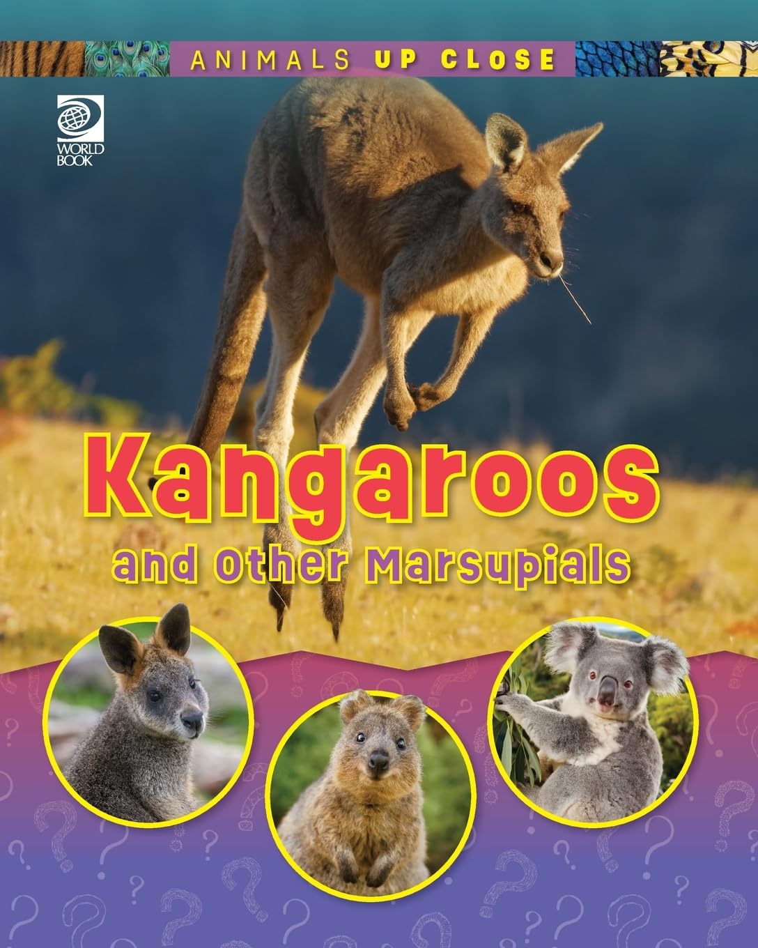 Kangaroos and Other Marsupials: Animals Up Close: Mammals