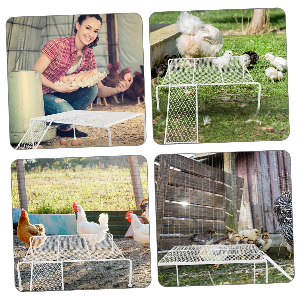 BESPORTBLE 2 Juegos Rejilla De Alimentación para Pollos Criadora De Pollos Mesa De Salto De Pollo Comederos Gallinero Jaula para Conejillo De Indias Mascota Pizca Hierro Forjado