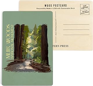 Muir Woods National Monument, California, Pathway, (4x6 Birch Wood Postcards, 2-Pack Stationary, Rustic Home Wall Decor)