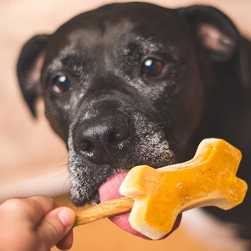 Miniatura 4 de Messy Mutts Molde de silicona enmarcado para paletas  Bandeja de 10 x 10 pulgadas  6 golosinas fáciles de llenar por bandeja  Líneas de llenado de