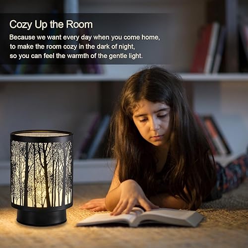 Miniatura 3 de Lámpara a pilas con temporizador, lámpara inalámbrica de vidrio para corte de energía, pequeña lámpara decorativa para área sin enchufe, lámpara a